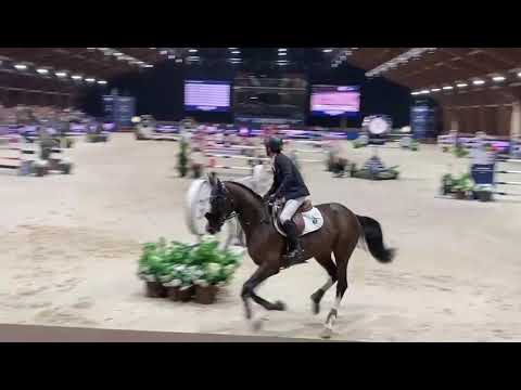 Luigi D'Eclipse - 3rd place CSI5* 1.50m Samorin