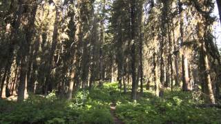 Trip video of Porcupine Lookout.