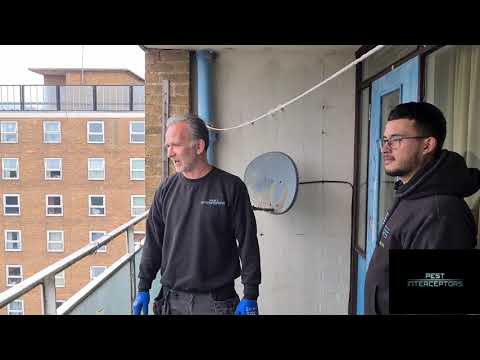 YouTube video about: How to keep birds away from apartment balcony?