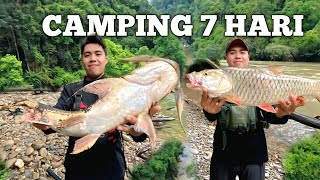 Download lagu camping hujan deras 7 hari di hutan mencari ikan purba sungai Kalimantan fishing cooking adventure  mp3