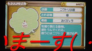 【実況】　牧場物語　３つの里の大切な友だち　大牧場主を目指して　part７