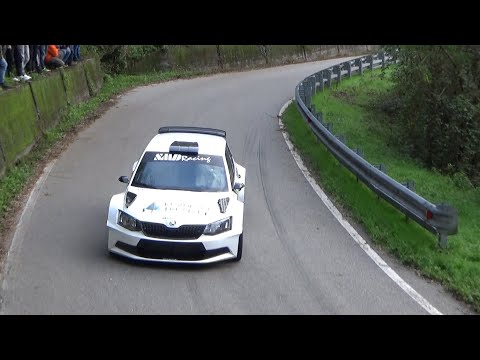 Ronde Gomitolo di Lana 2019 Tomatis-Pina by Ferrario