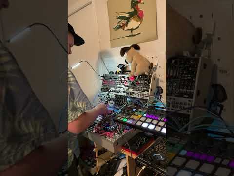 Jamming on the WMD Arpitecht Sunday June 2nd 2024