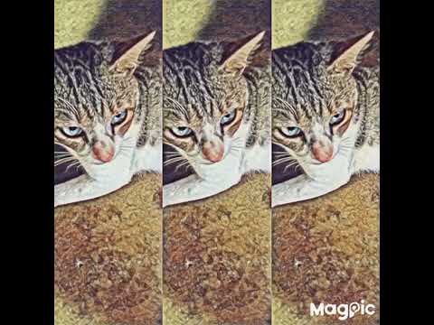 mirror image in Charu