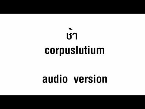 ช้า audio version