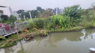 Jurong Lake Floating Garden 