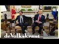 Wat als Rutte zijn kat naar Trump had gestuurd? - de Volkskrant
