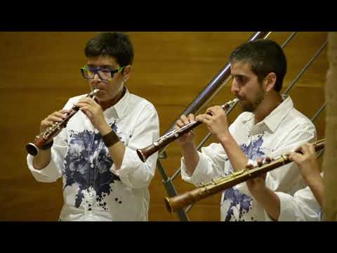 15 anys de la Moixiganga de Tarragona