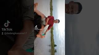 Download lagu penampakan ikan brsar di semak semak mp3