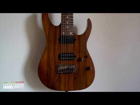 Titan vs Nazgul Pickups Comparison with Thermionik Diezel VH4