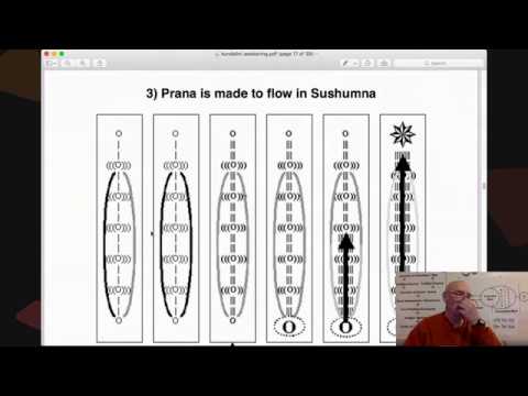 Kundalini Awakening #3: Prana is made to flow in Sushumna