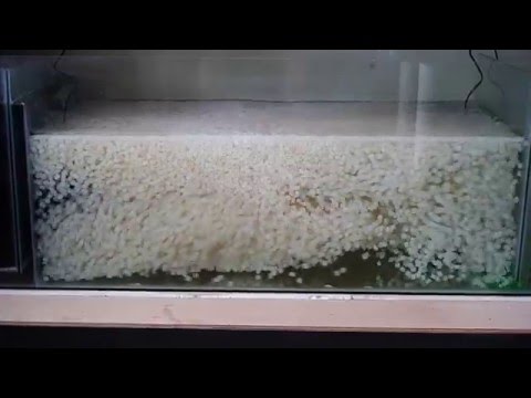 Sump filtration using K1