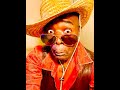 Lightnin's Boogie - Lightnin Hopkins - Mad With You.