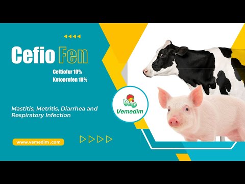 CEFTIOFEN - Specialize in mastitis, metritis, diarrhea, respiratory infections treatment