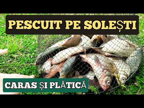 Pescuit baraj Solesti VASLUI / la ce sa dai / partida de primavara la caras si platica