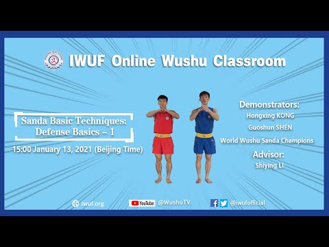 Sanda Basic Techniques: Defense Basics-1