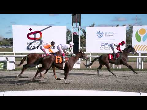 230518 c11 - QUEEN OF CLUBS (BRZ) - HIPODROMO LAS PIEDRAS - GRAN PREMIO OSAF