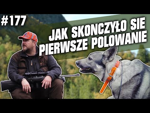 Darz Bór odc. 177 - Jak skończyło się pierwsze polowanie na łosia