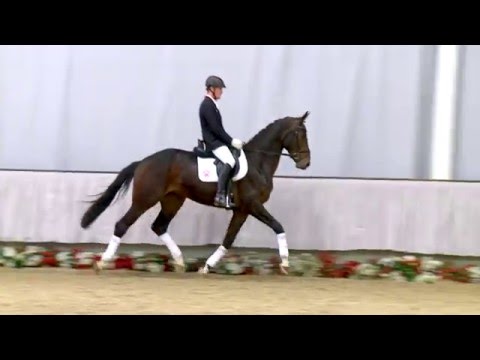 28 Reynold  Wallach v. Rubinio NRW - Dimension