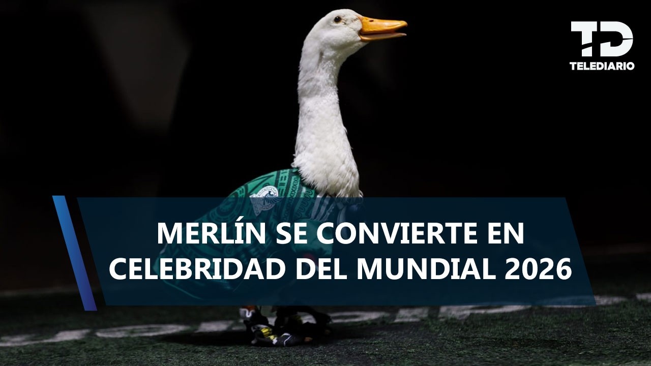 ¡La nueva sensación! Merlín, el pato que conquistó las redes apoyando a México en el Mundial 2026