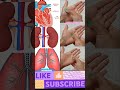 EXERCISE FOR STRONG LUNGS STRONG HEART STRONG KIDNEY WORKOUT AT HOME Beauty With Health Shorts