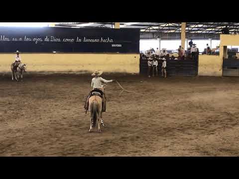 Pial de Ruedo Santiago Todd