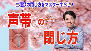 【2026年最新版】日本人は苦手‼声帯を合わせるってどういう事？声帯ってどのように振動させるのか？二種類の合わせ方をマスターすべし！