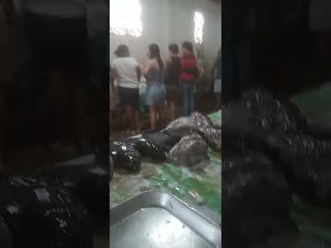 vendendo peixes na feira de Muribeca-Sergipe