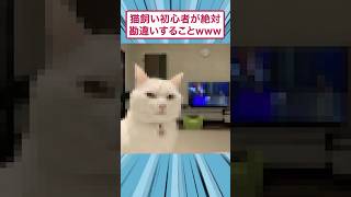 猫飼い初心者が絶対勘違いすることwww #猫 #すごい #ゆっくり解説 #2ちゃんまとめ #面白集 #2ch面白いスレ #スレ民
