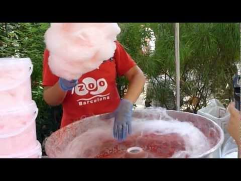 В зоопарке Барселоны