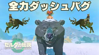【新バグ】動物が高速で走るようになる謎のバグ技を見つけました【ゼルダの伝説 ティアーズ オブ ザ キングダム】