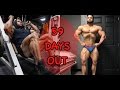 59 DAYS OUT | COMPLETE HAMSTRING WORKOUT