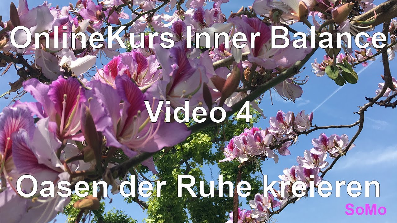 OnlineKurs Inner Balance | Video 4 | Oasen der Ruhe kreieren