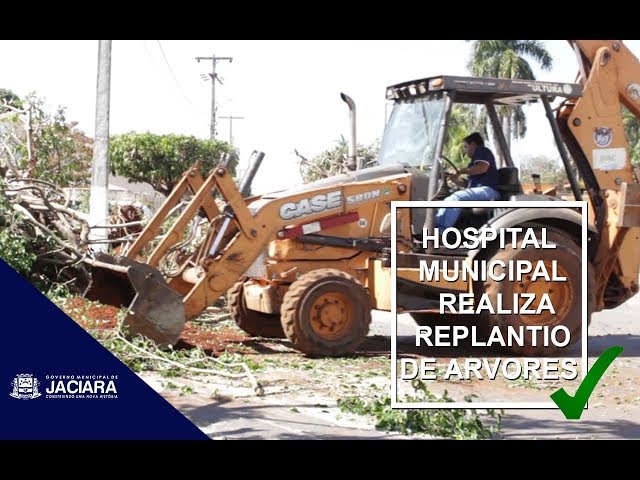 HOSPITAL MUNICIPAL REALIZA REPLANTIO DE ARVORES 
