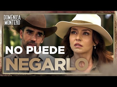 Luis Fernando encuentra evidencia de la culpa de Doménica | Doménica Montero 4/4 | Capítulo 24