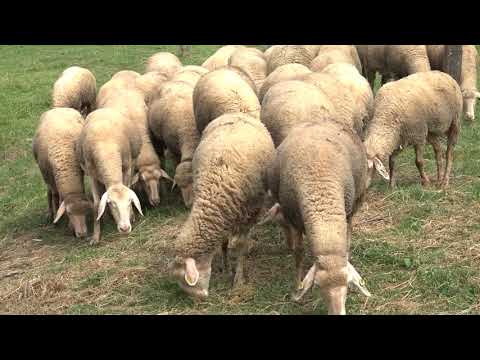 Naša priča 14.09.2018. NAJAVA