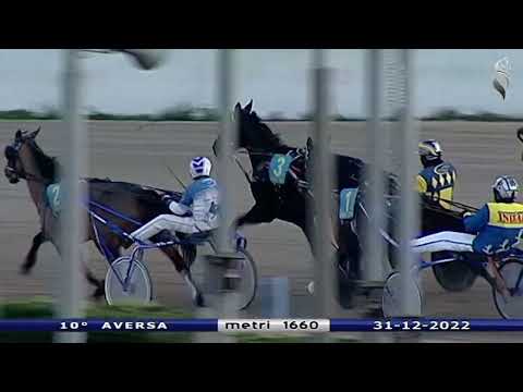 Aversa trotto 31 Dicembre 2022 - 10° Corsa