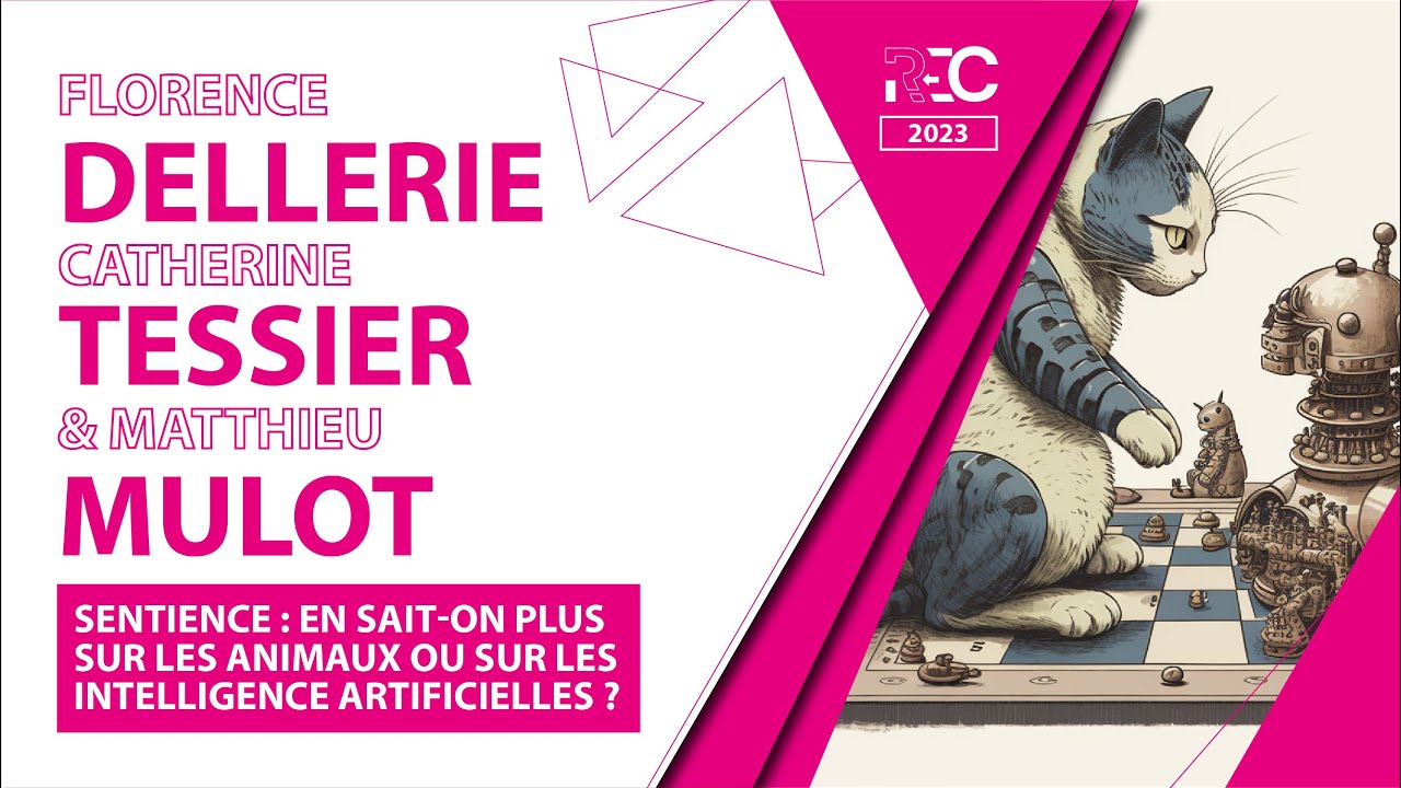 Sentience : en sait-on plus sur les animaux ou sur les intelligences artificielles ?