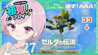 AAA級の迷子爆誕＆雷電グリオークさんに凹される矢なし九州の蛮族｜シリーズ完全初見【ゼルダの伝説 ティアーズ オブ ザ キングダム｜ティアキン｜TotK】#27