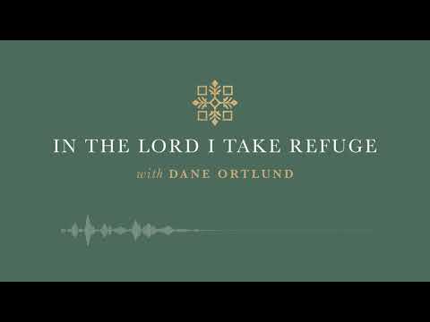 In the Lord I Take Refuge: Psalm 9 - I Will Recount Your Wonderful Deeds