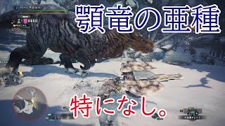 【MHW実況14】新しい力を持ったアンジャナフ亜種は…（音声なし）