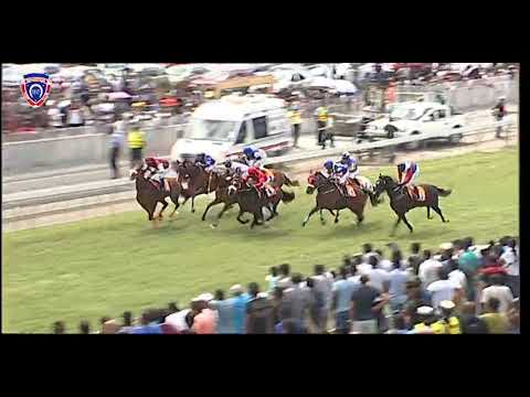 RM39 R3 | Antwerp | R.Bhaugeerothee