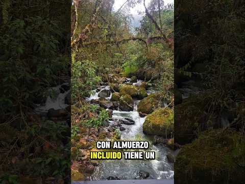 😱 ¡No puedo creer que este paraíso exista en Colombia! 🌿♨️ | Termales San Vicente #turismocolombia