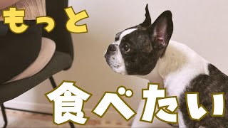 どうしても食べたいフレブル