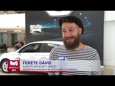 Videó előnézet
