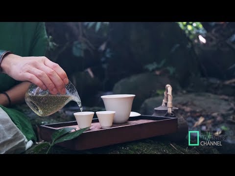 Brewing Puer with a View in Mengsong, Yunnan