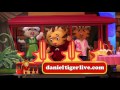 Daniel Tiger Live