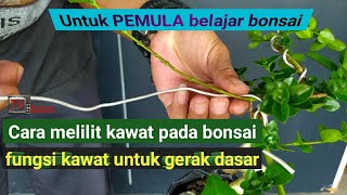 Download lagu Cara melilit kawat pada bonsai, belajar  membuat gerakan dasar bonsai pemula mp3