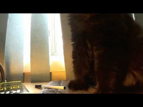 Dougy wishes Adelina a Happy Birthday!