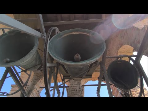 Campane di Trecenta (RO) - plenum dalla cella